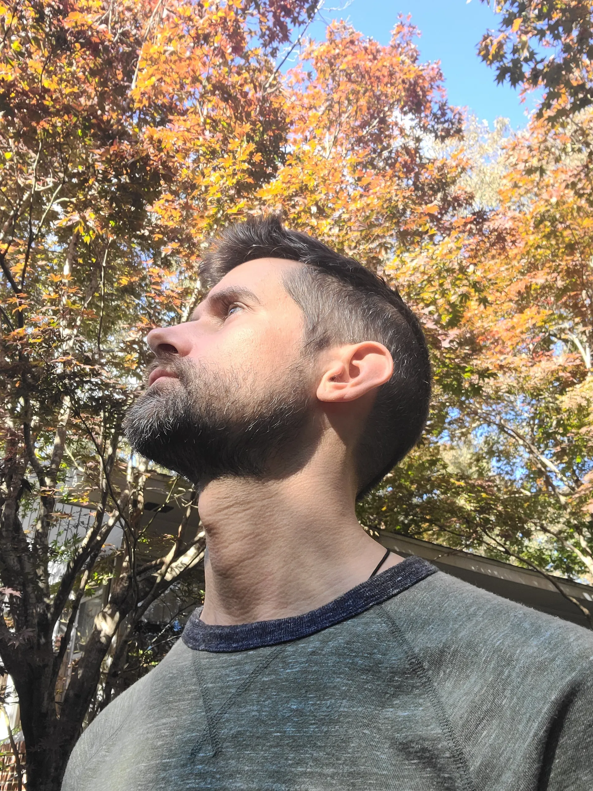 Paul OnlyFans header