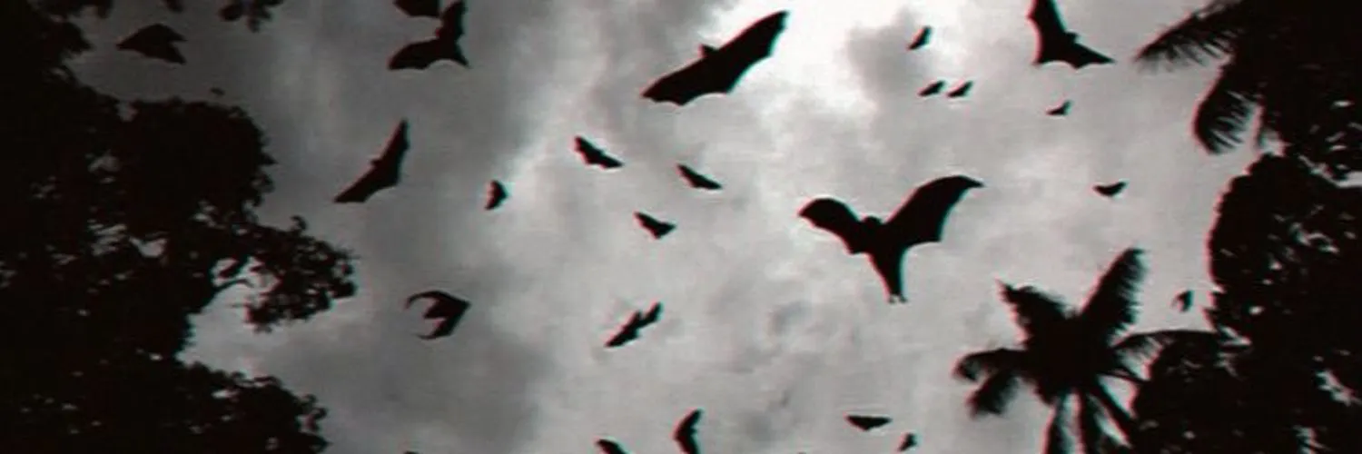 britt OnlyFans header