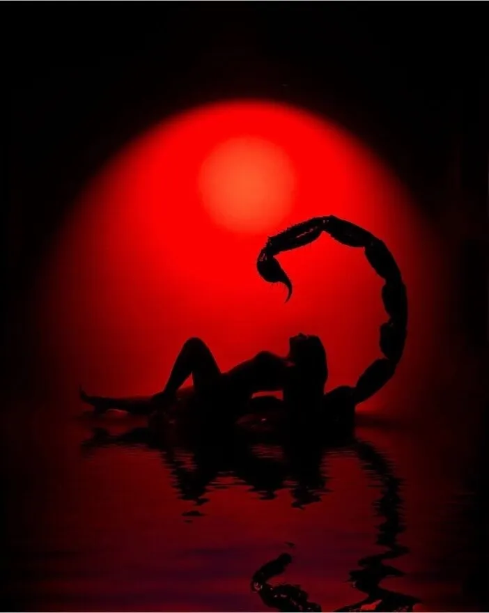 Ts-natalie OnlyFans header