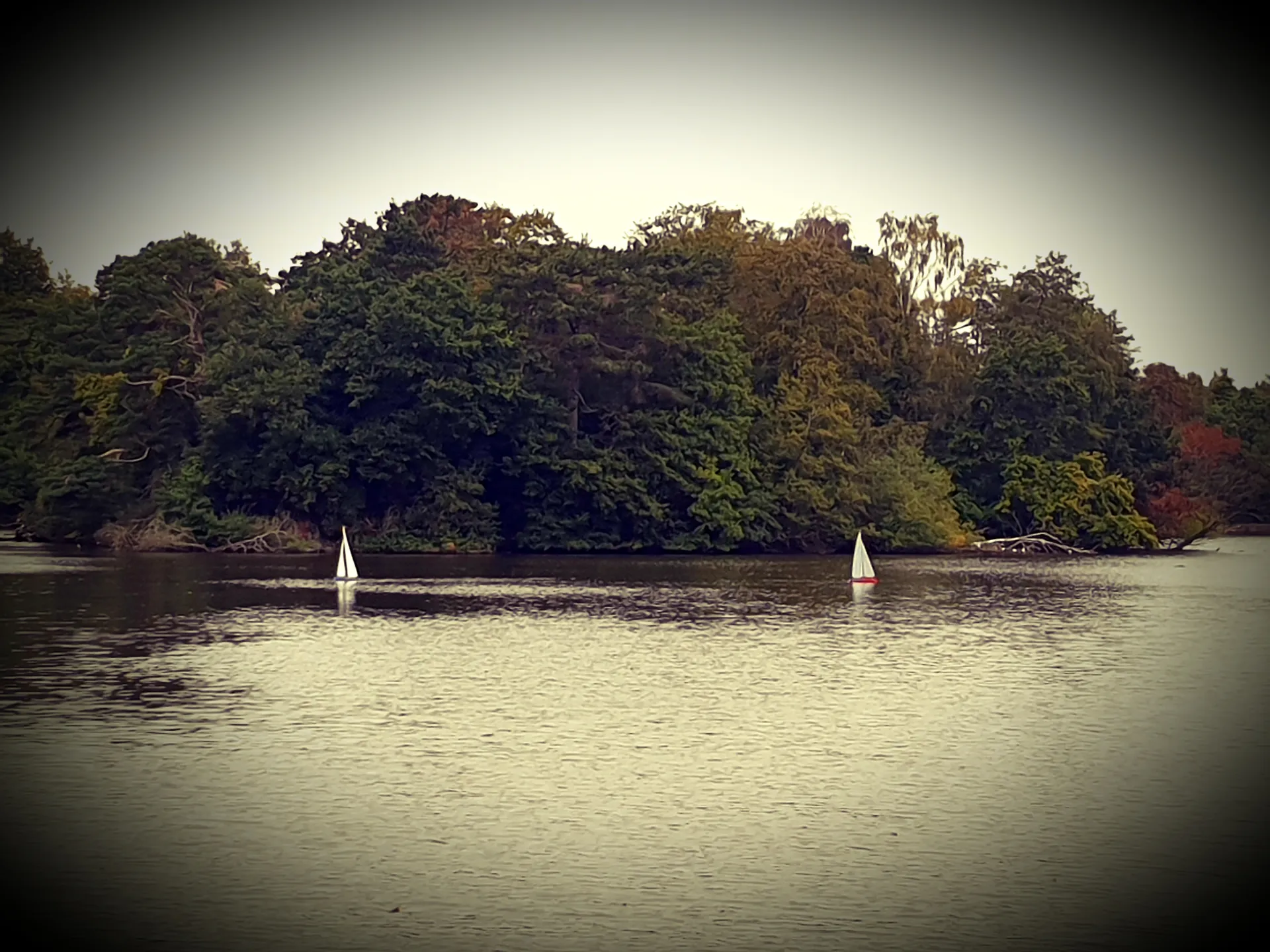 Blue OnlyFans header