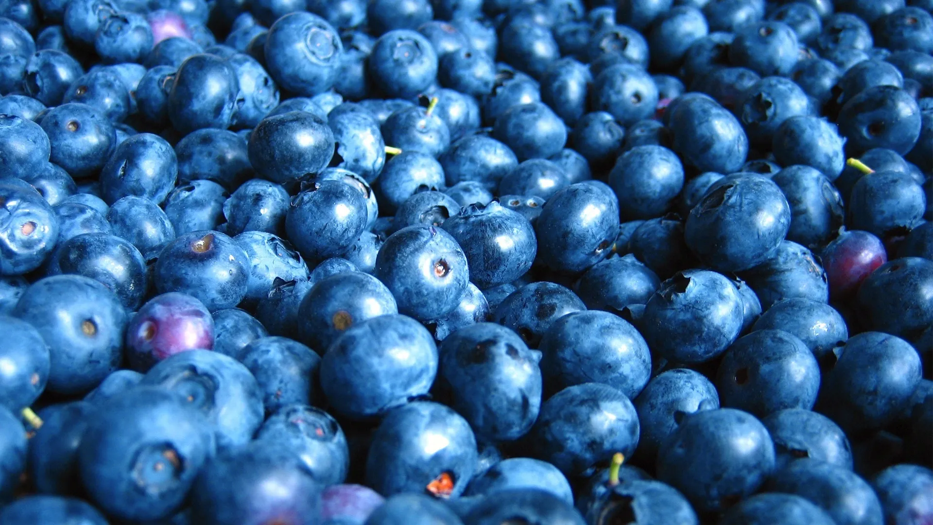 blueberries OnlyFans header