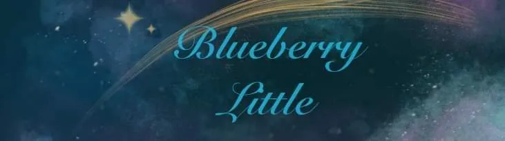 Blueberry Little OnlyFans header