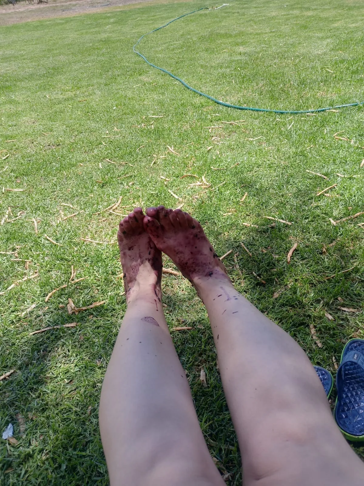 Blue OnlyFans header