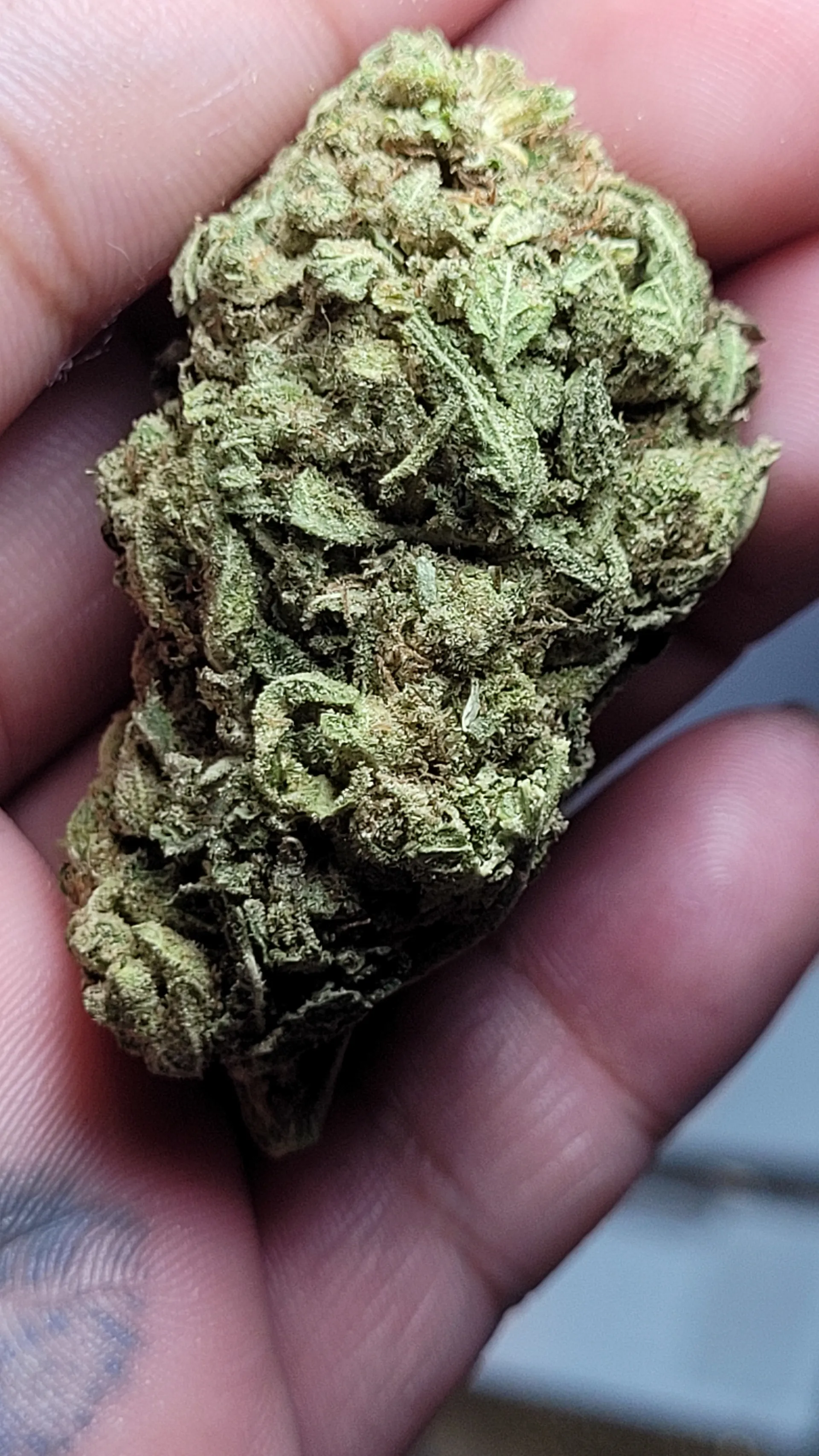 Blinky OnlyFans header