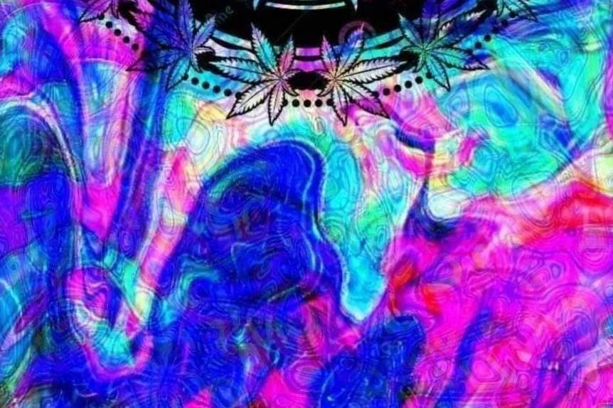 Bunnified bunnizers OnlyFans header