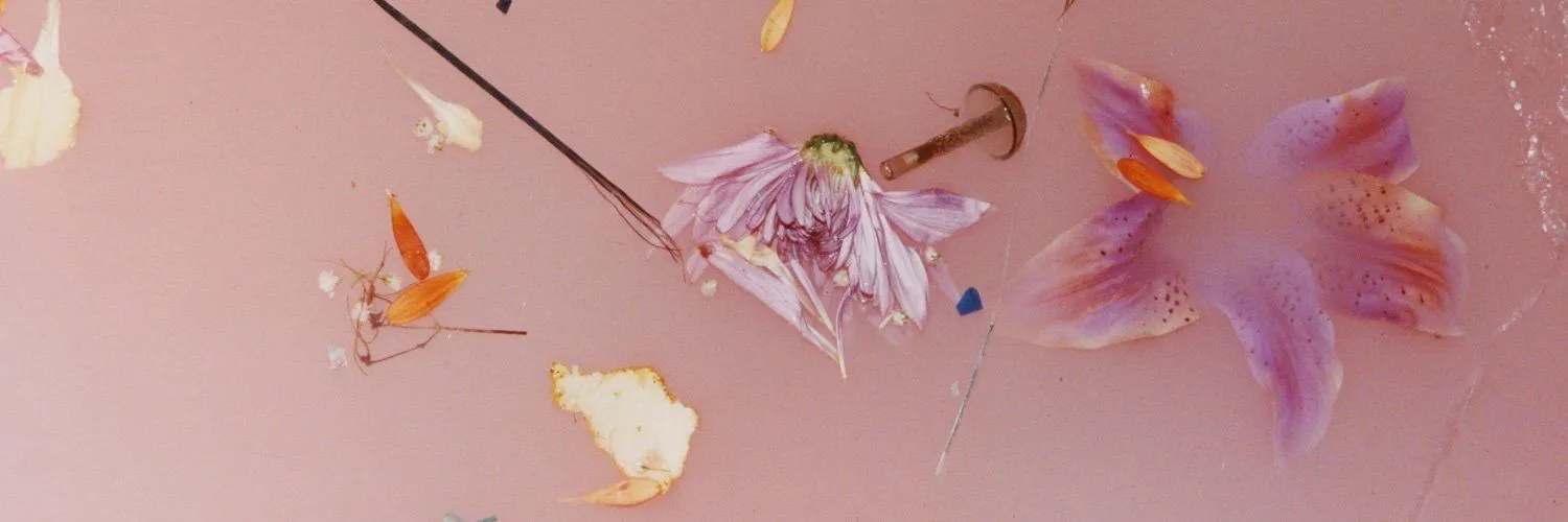 caroline OnlyFans header