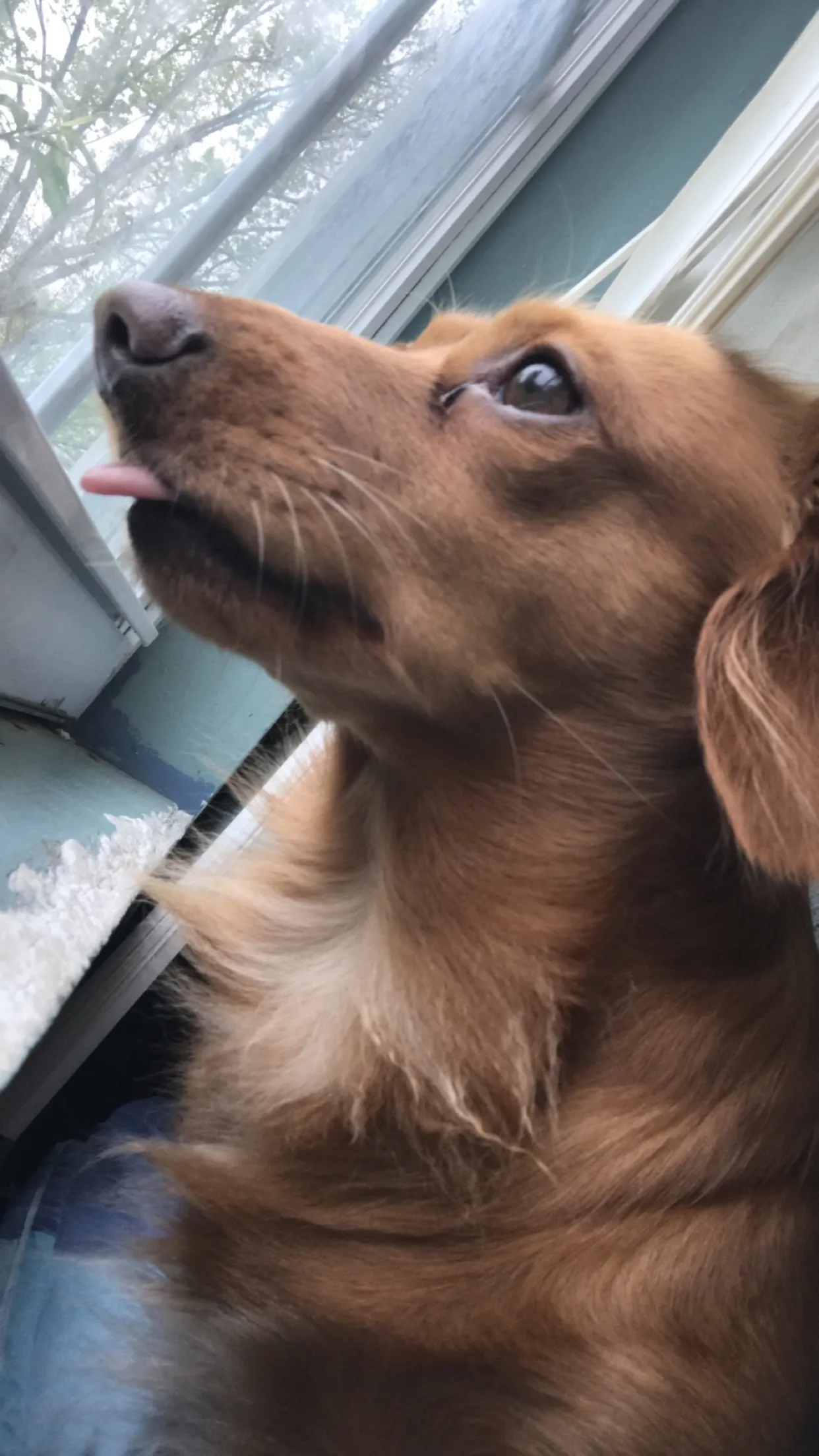 Jizz OnlyFans header