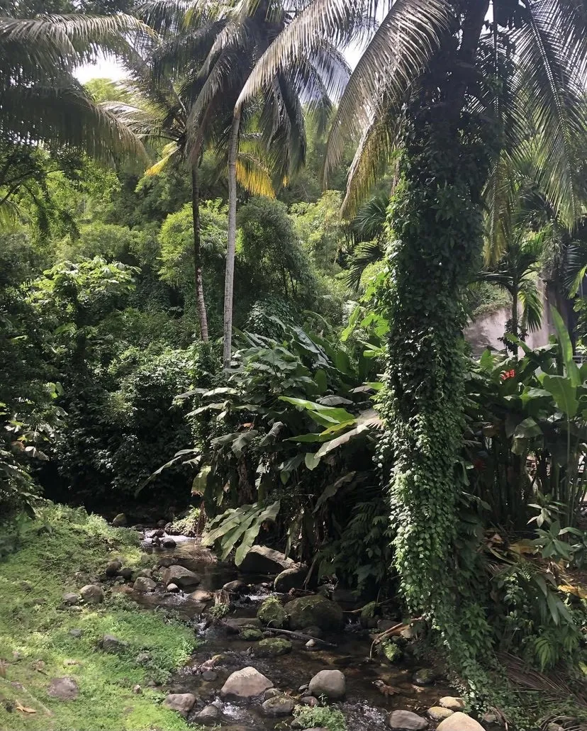 Anna Lena Wartemann OnlyFans header