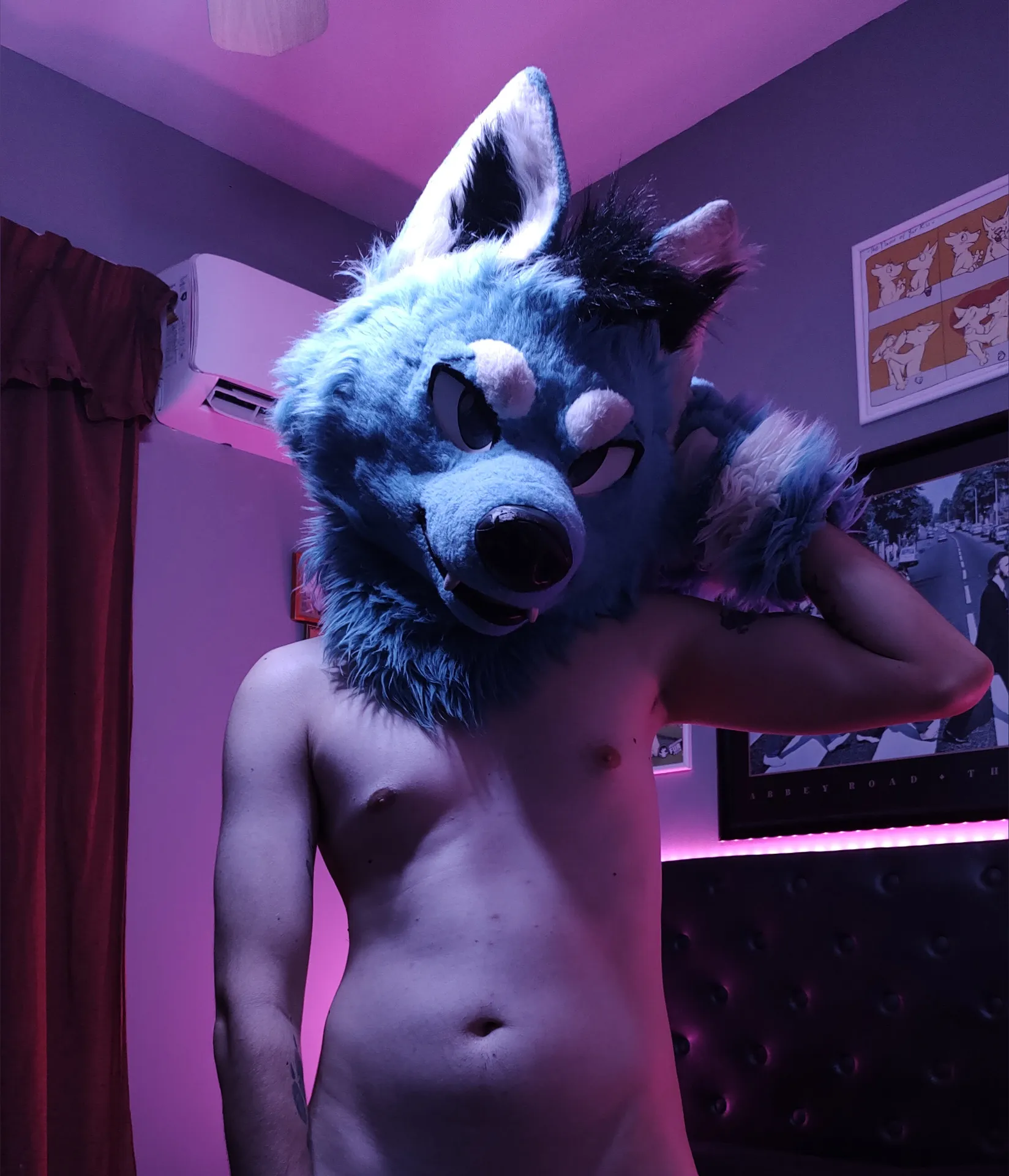 Blue Daddy Wolf