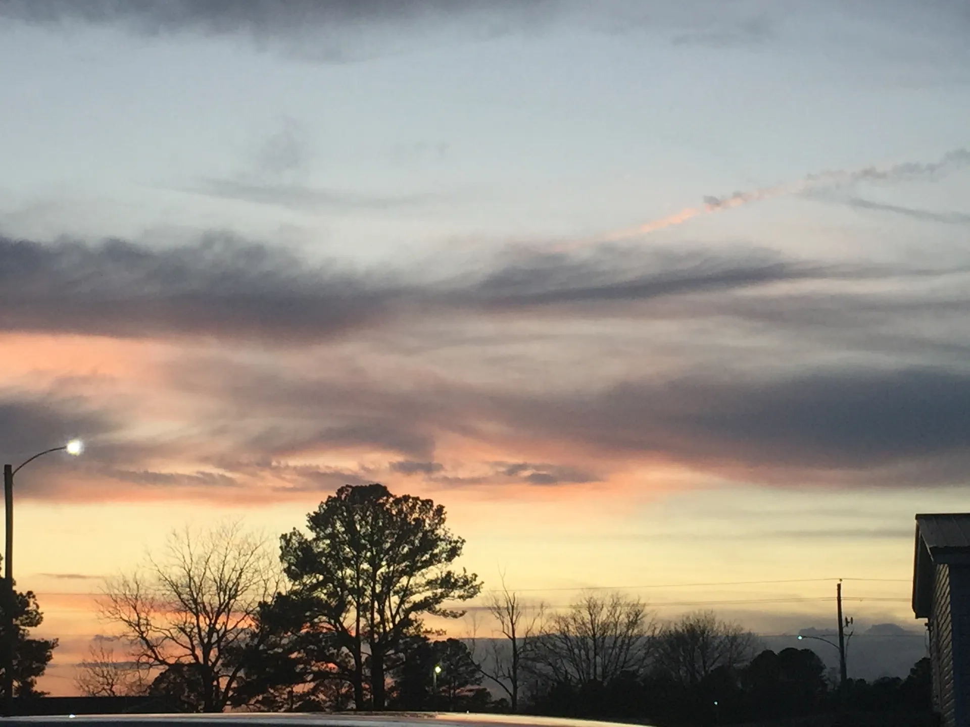 Terra OnlyFans header