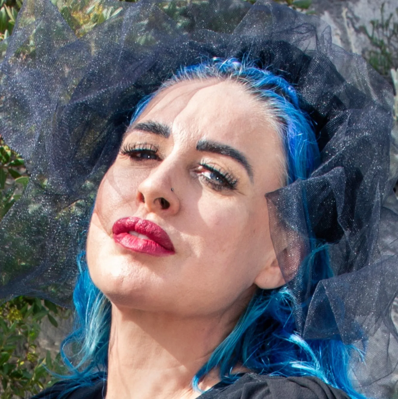 Dominant Blue Countess