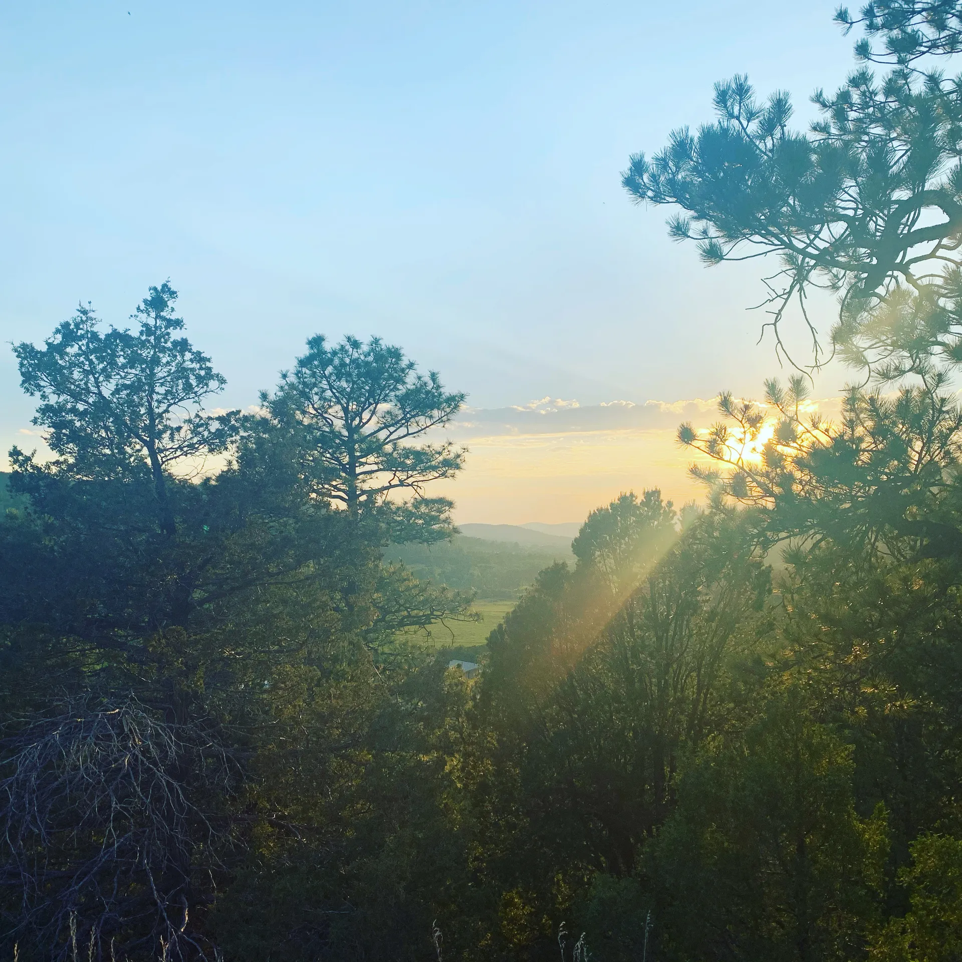 Blue.Fantasy55 OnlyFans header