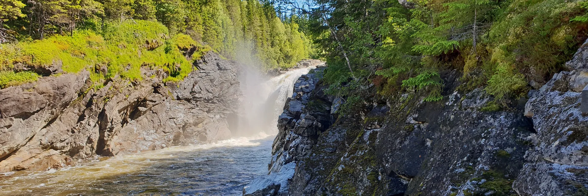 Bluue OnlyFans header