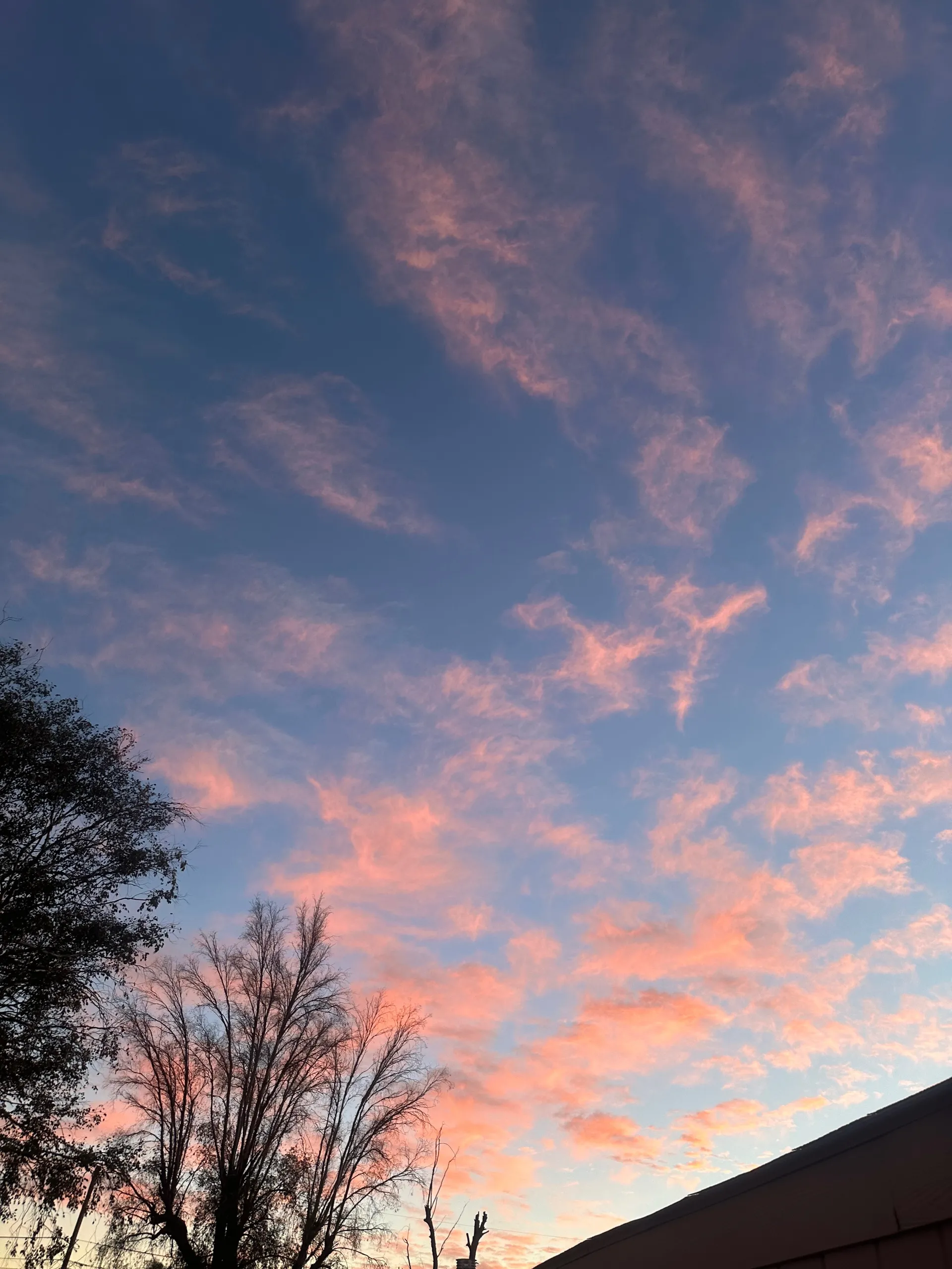 Baby girl OnlyFans header