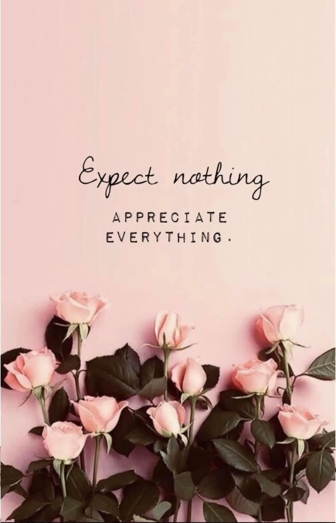 Blueeyedaly94 OnlyFans header