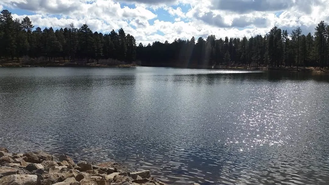 Nicole OnlyFans header