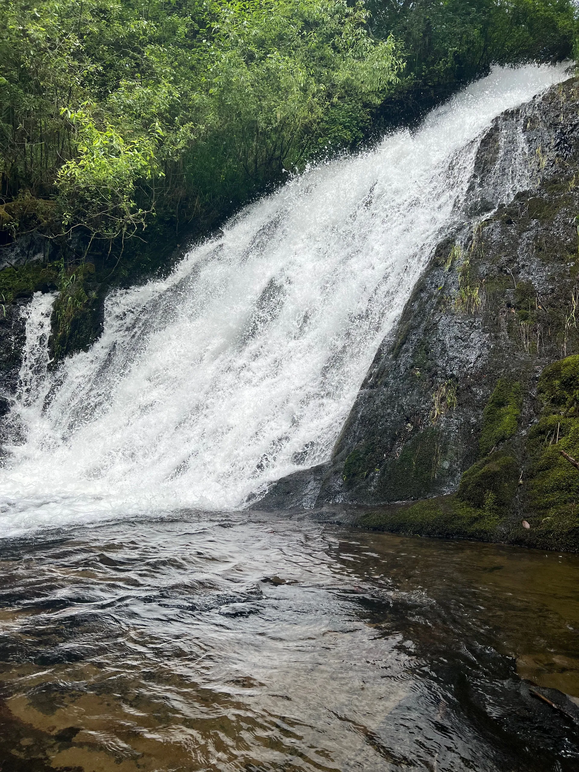 Blaze1991 OnlyFans header