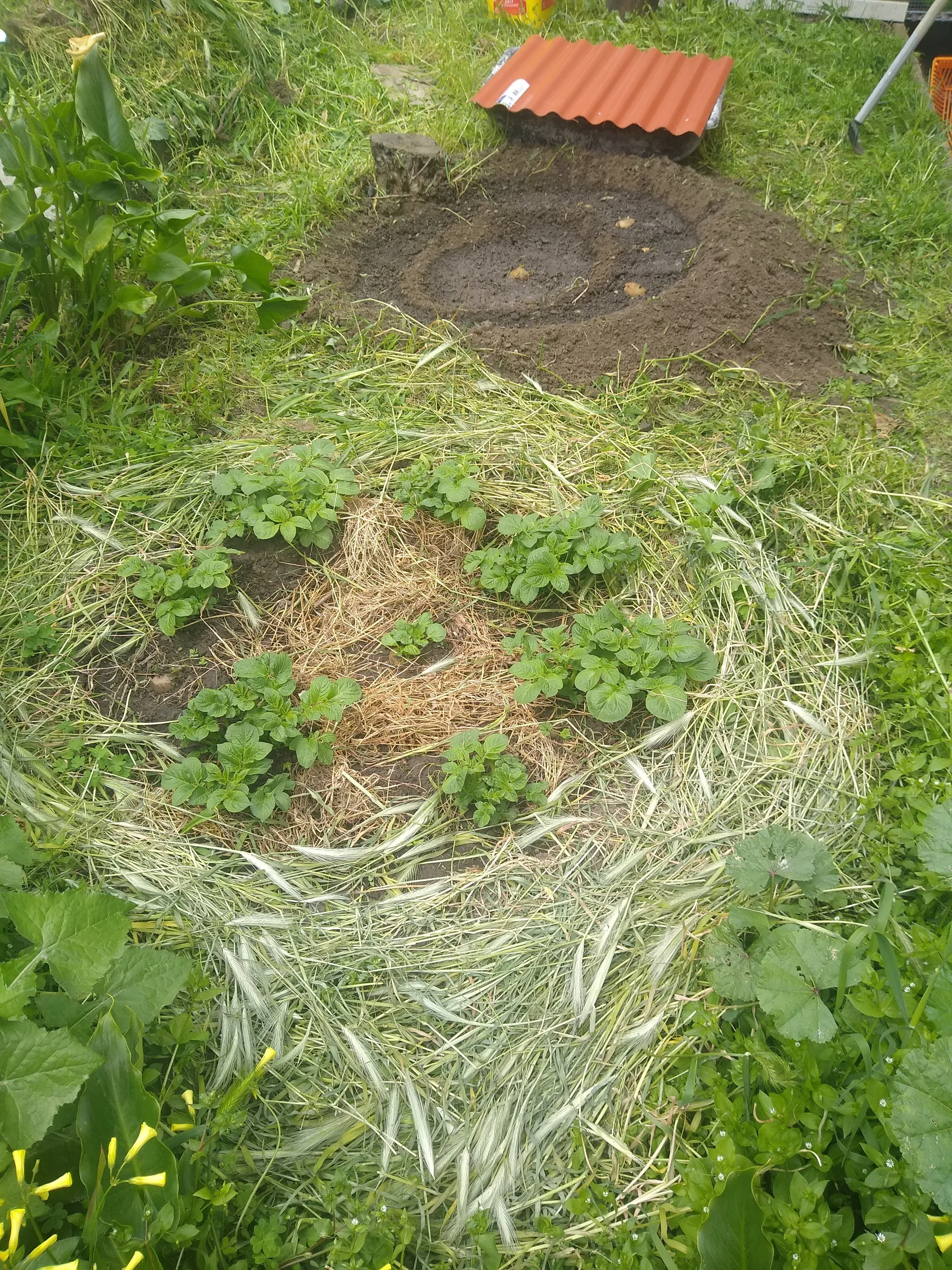 Blueeyedgypsy OnlyFans header