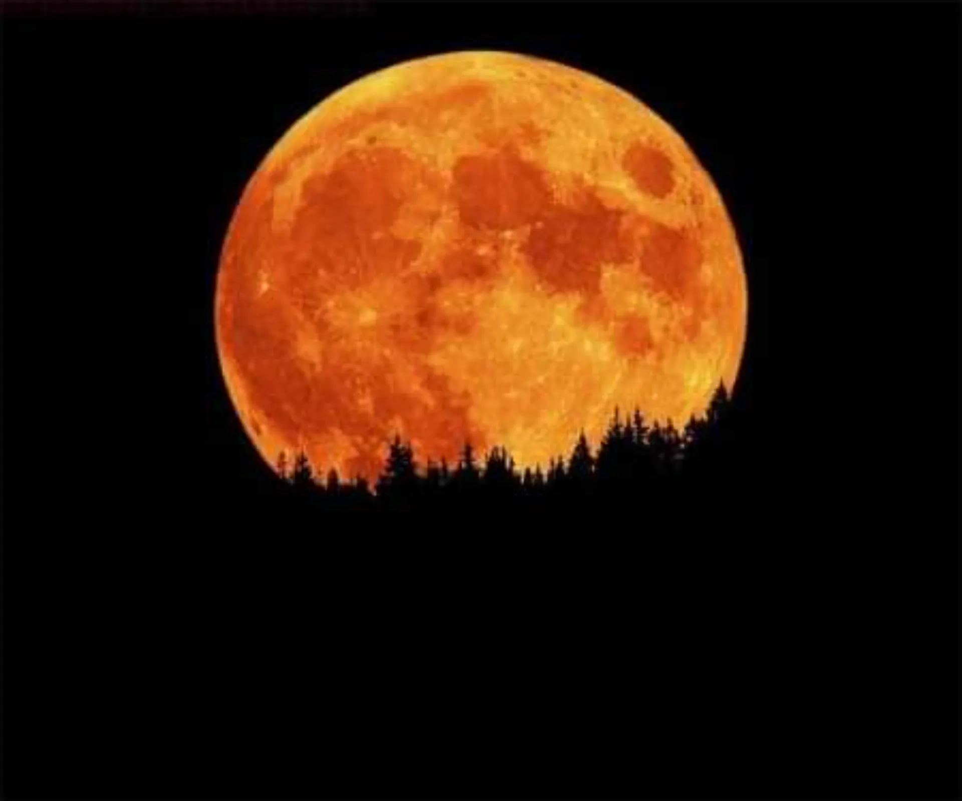 Irish berry OnlyFans header