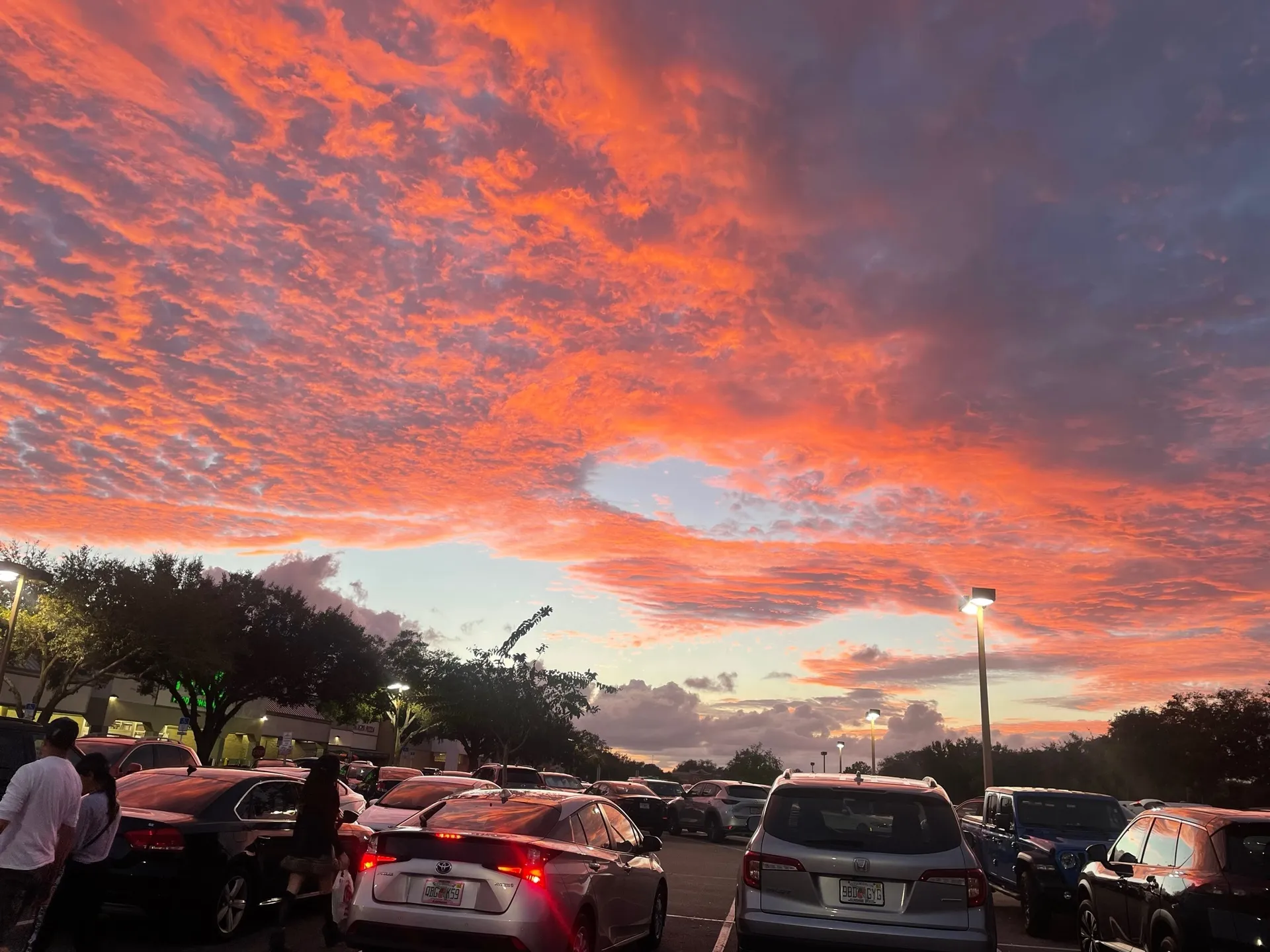 bluehazel OnlyFans header