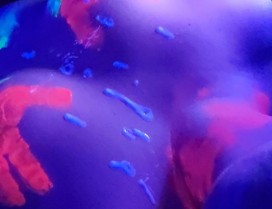 BlueHuneyDew OnlyFans header