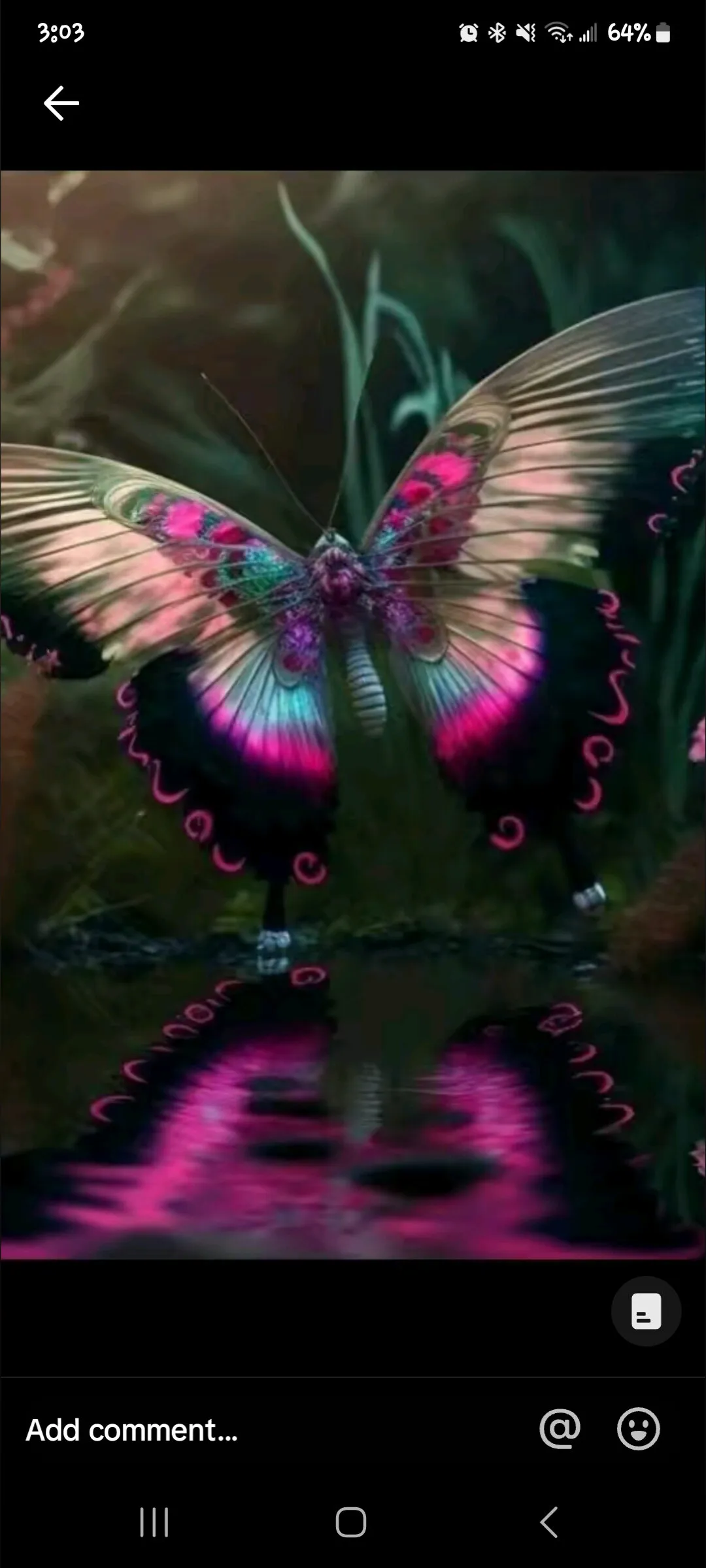 HoneyCoCo OnlyFans header