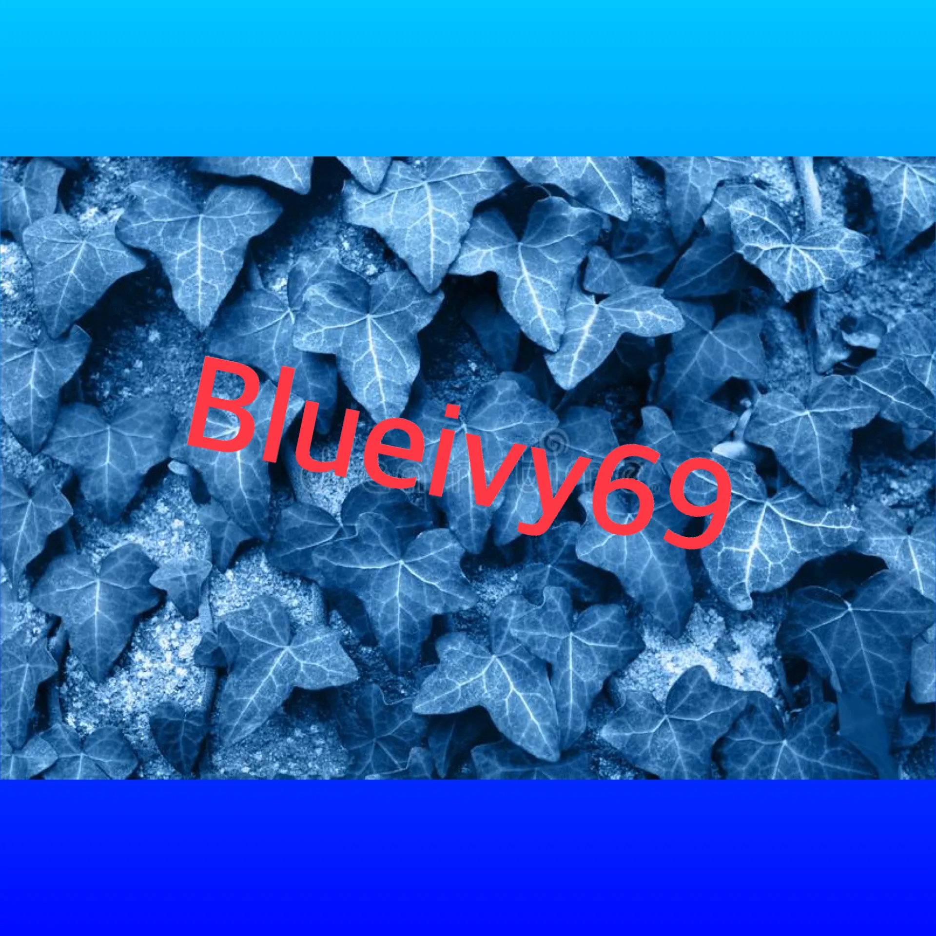 Blue ivy OnlyFans header