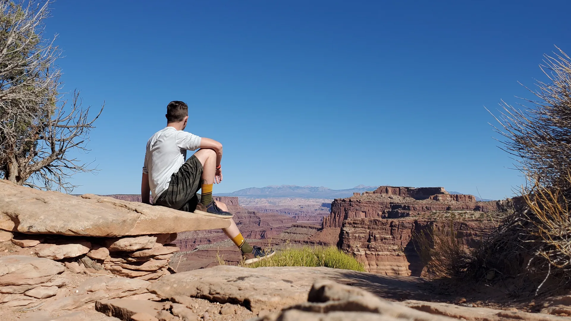 BlueJay OnlyFans header