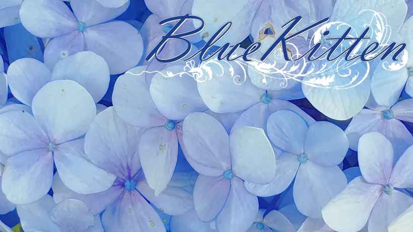 Blue Kitten OnlyFans header