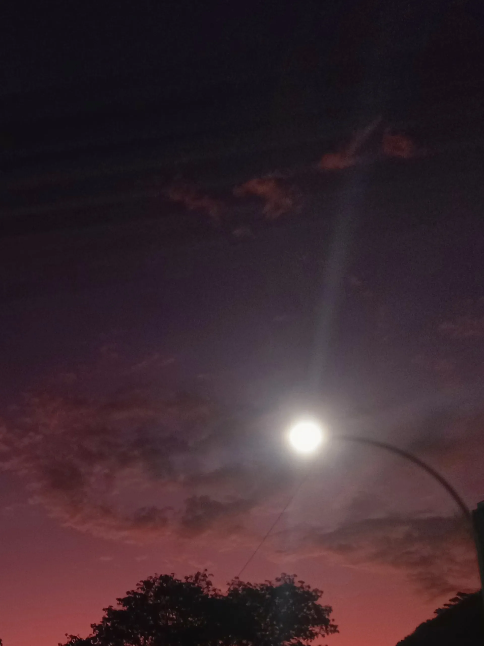 Mary OnlyFans header