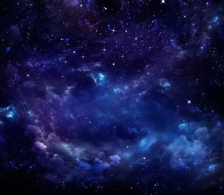 Rose OnlyFans header