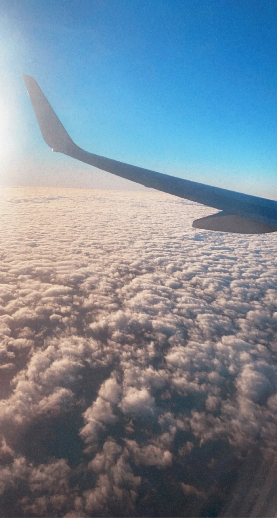 Bluesky babe OnlyFans header