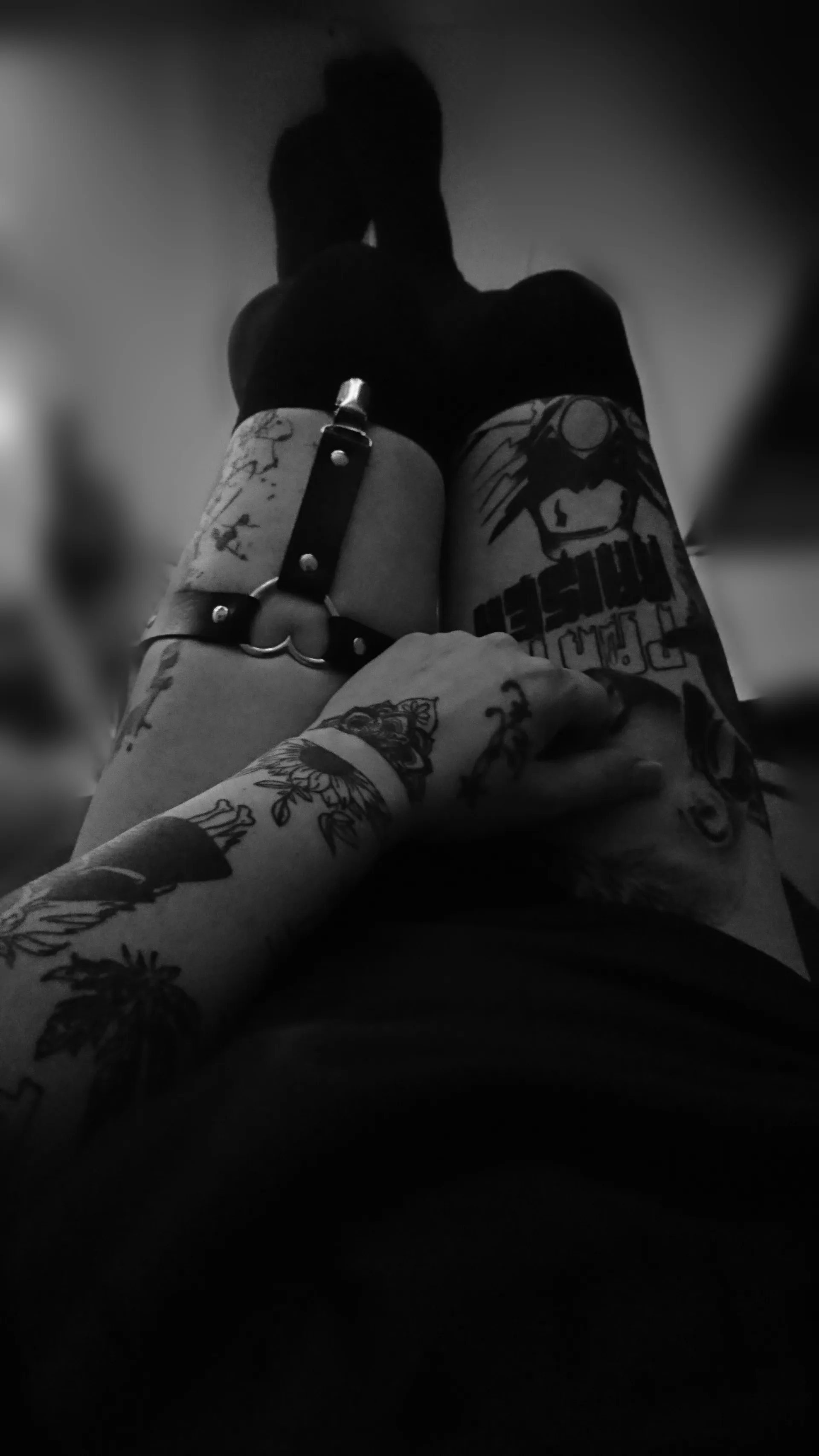 Sunflower OnlyFans header