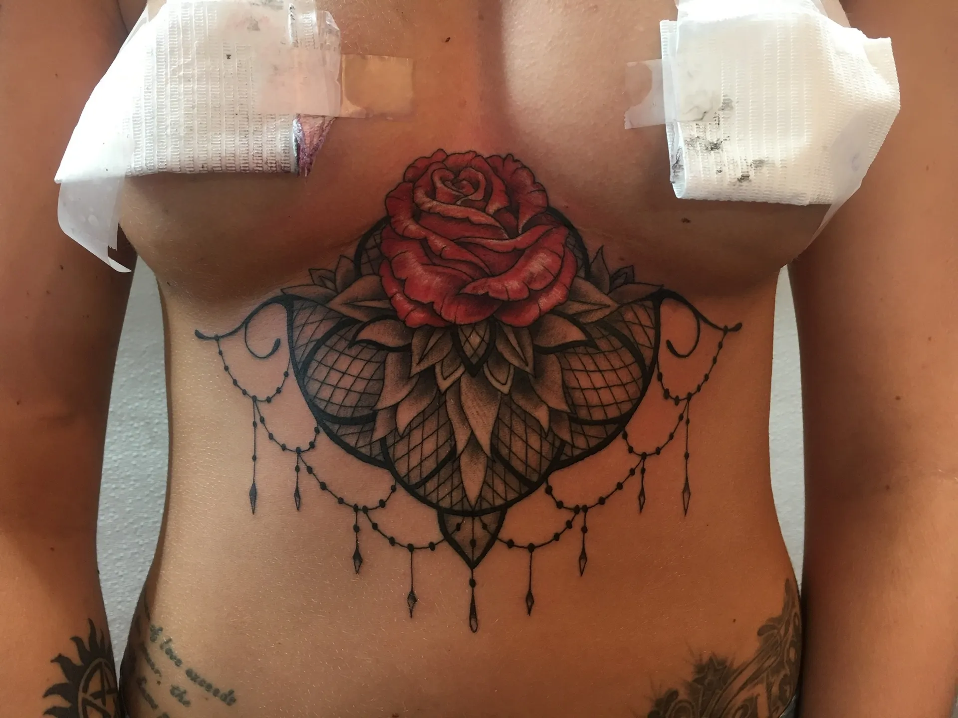 TigerLily OnlyFans header