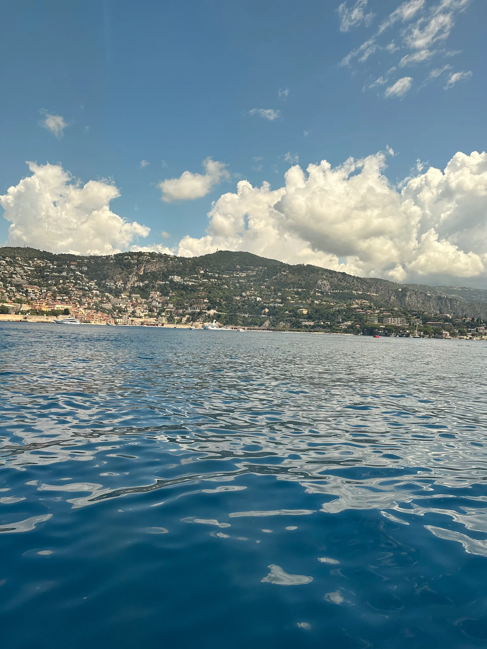 Bluewolf2222 OnlyFans header