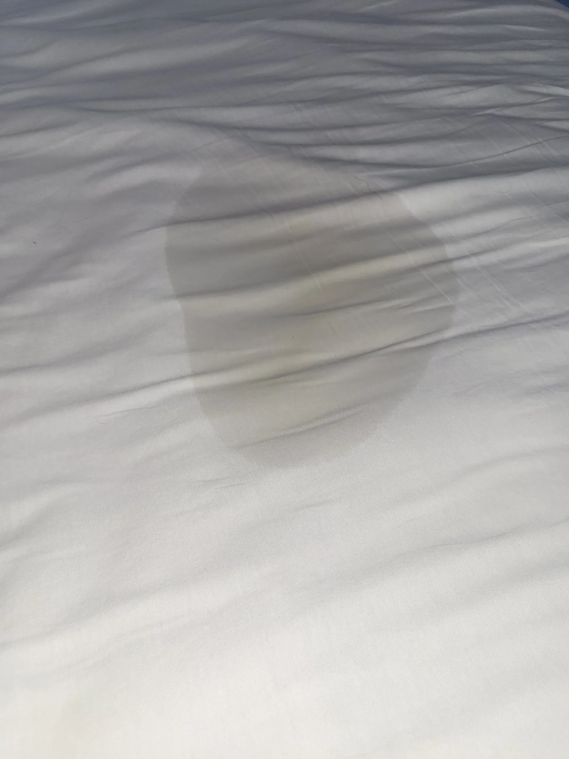 BBW Goddess OnlyFans header