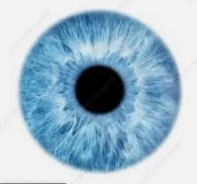 Sharon OnlyFans header