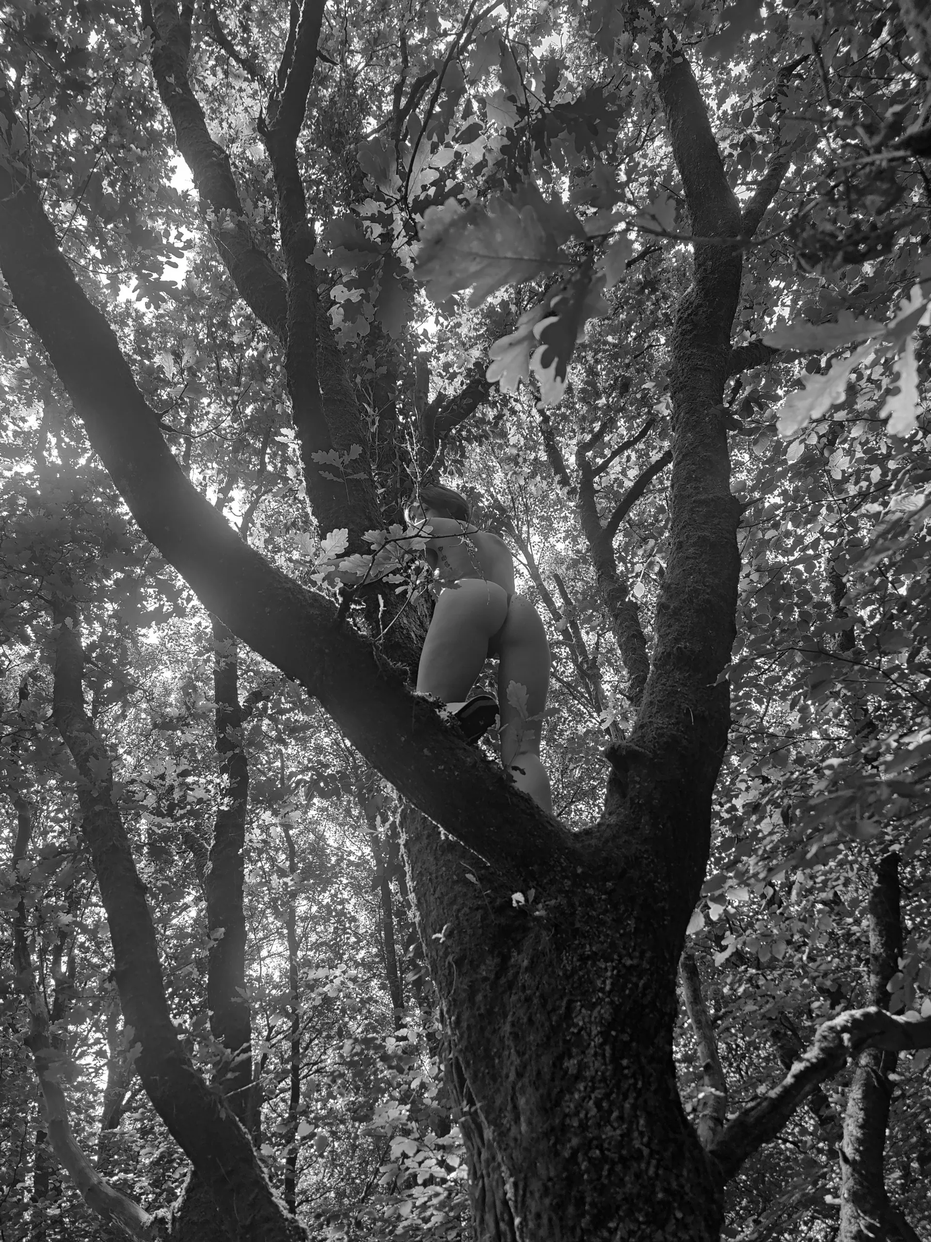 Bluehydrangea OnlyFans header