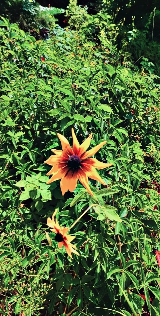 Lauren Lynn OnlyFans header