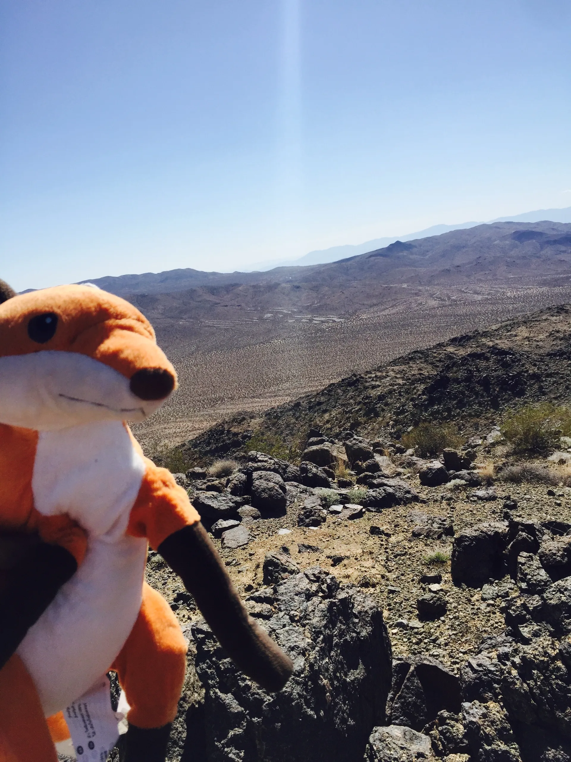 Bluowl21 OnlyFans header