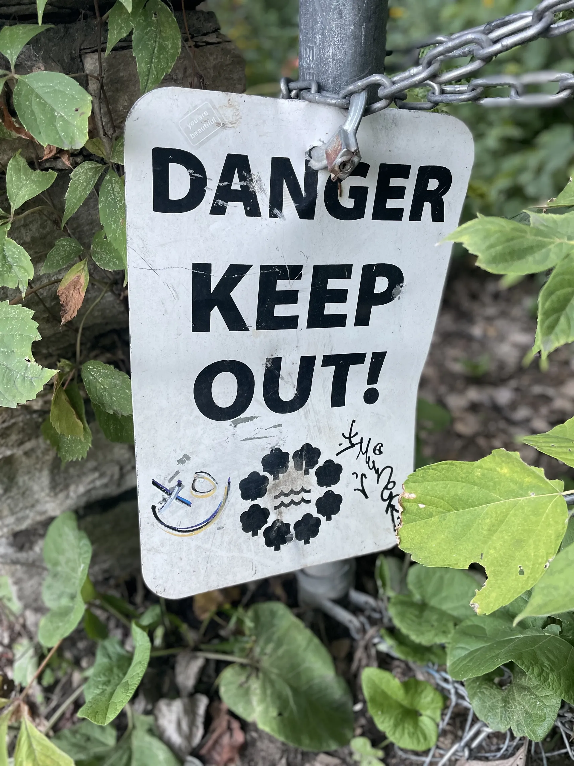 BluPearl OnlyFans header