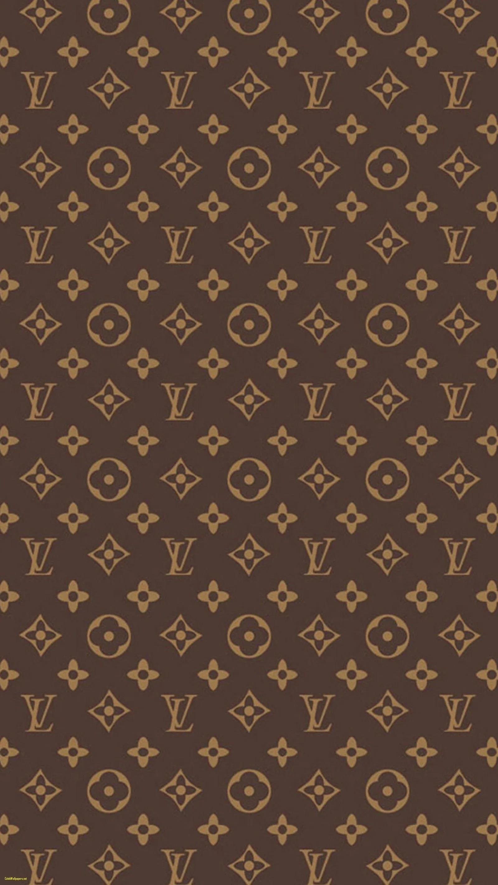 Honey 🍯 OnlyFans header