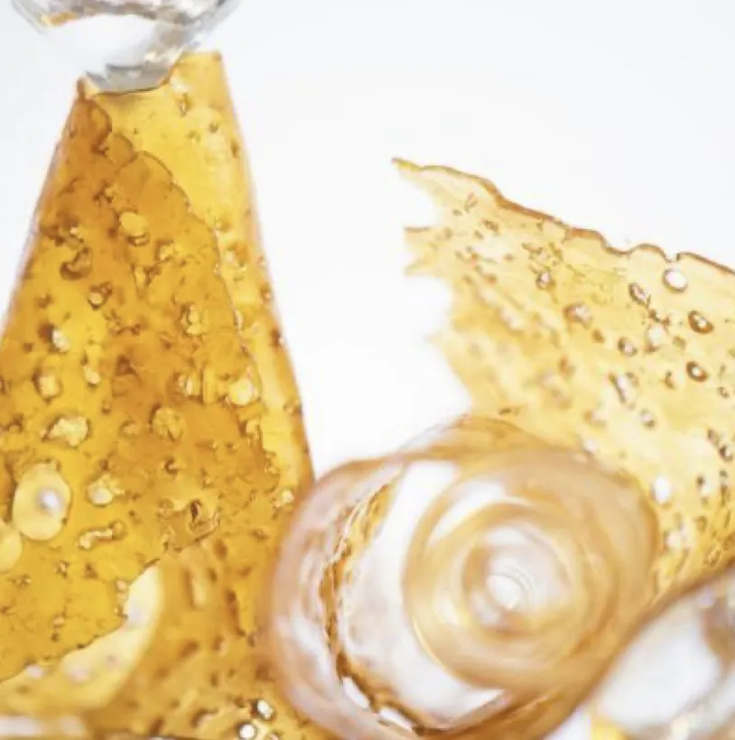 babbit OnlyFans header