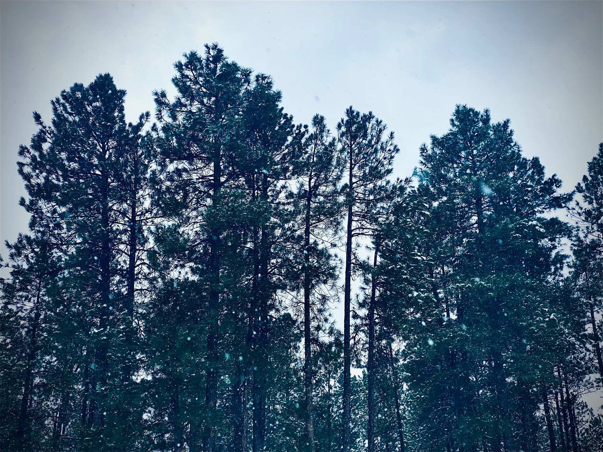 Mr. Crafte OnlyFans header