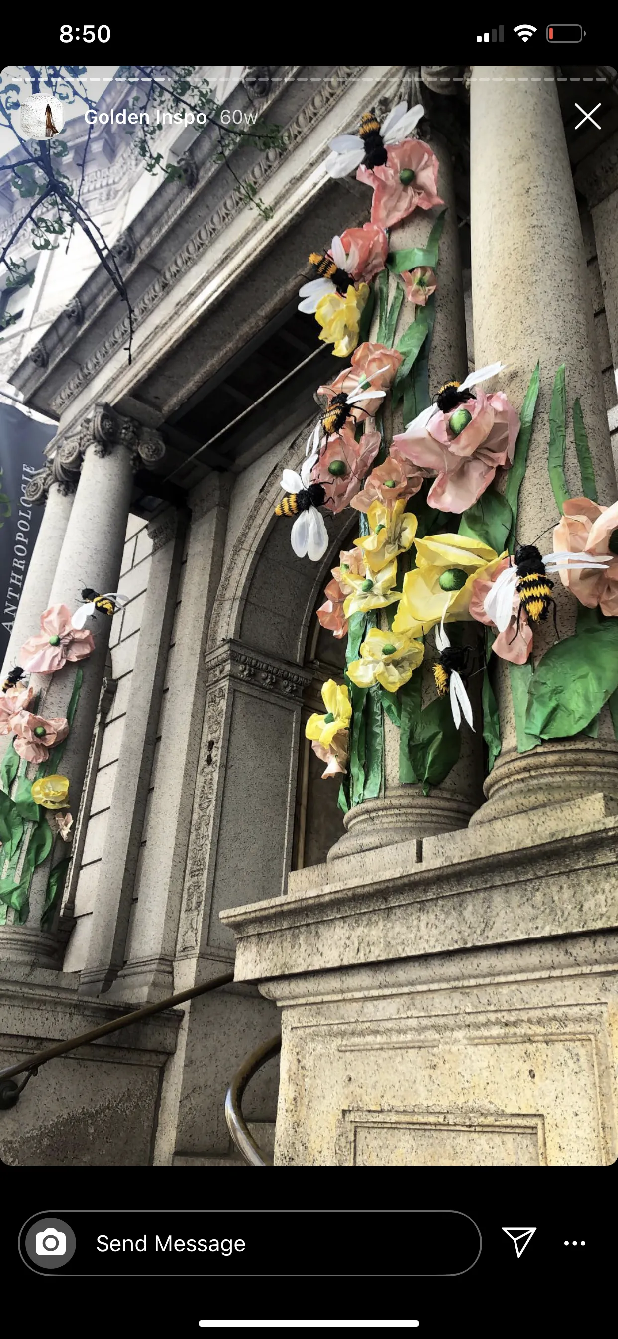 🐝 Bee OnlyFans header