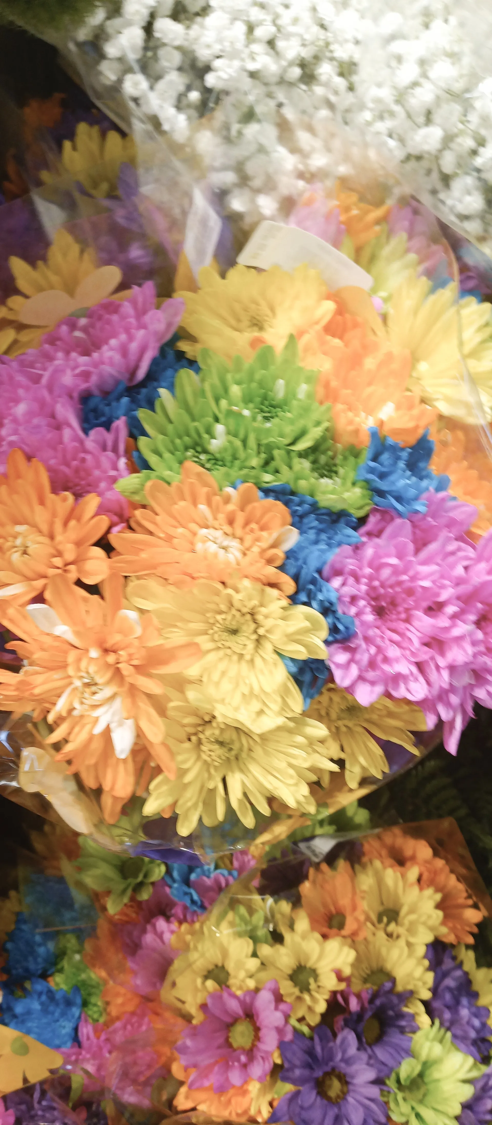 blush OnlyFans header