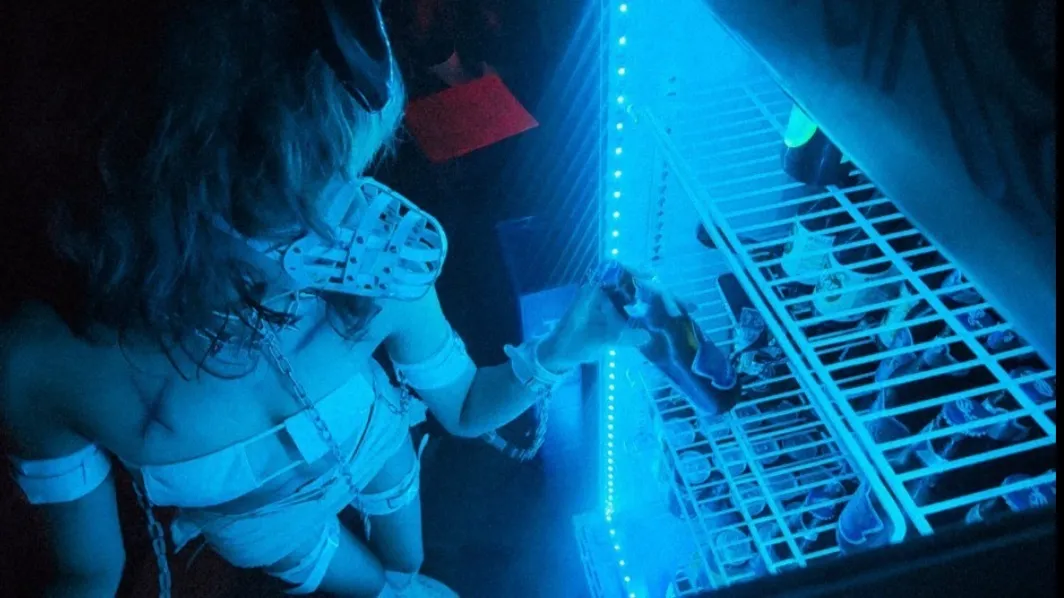 ☆* BLUU! *☆ OnlyFans header