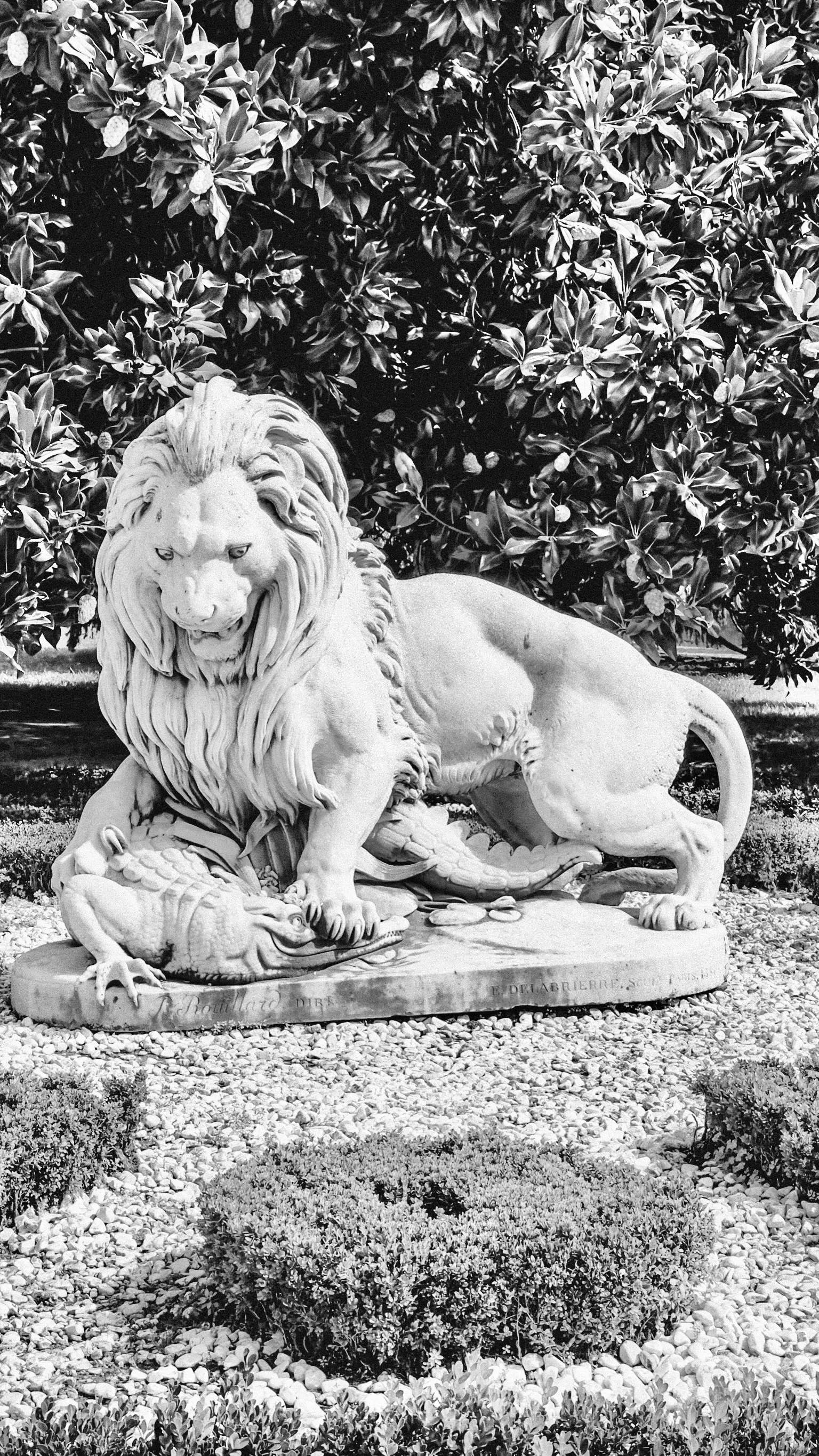 Dmytro OnlyFans header