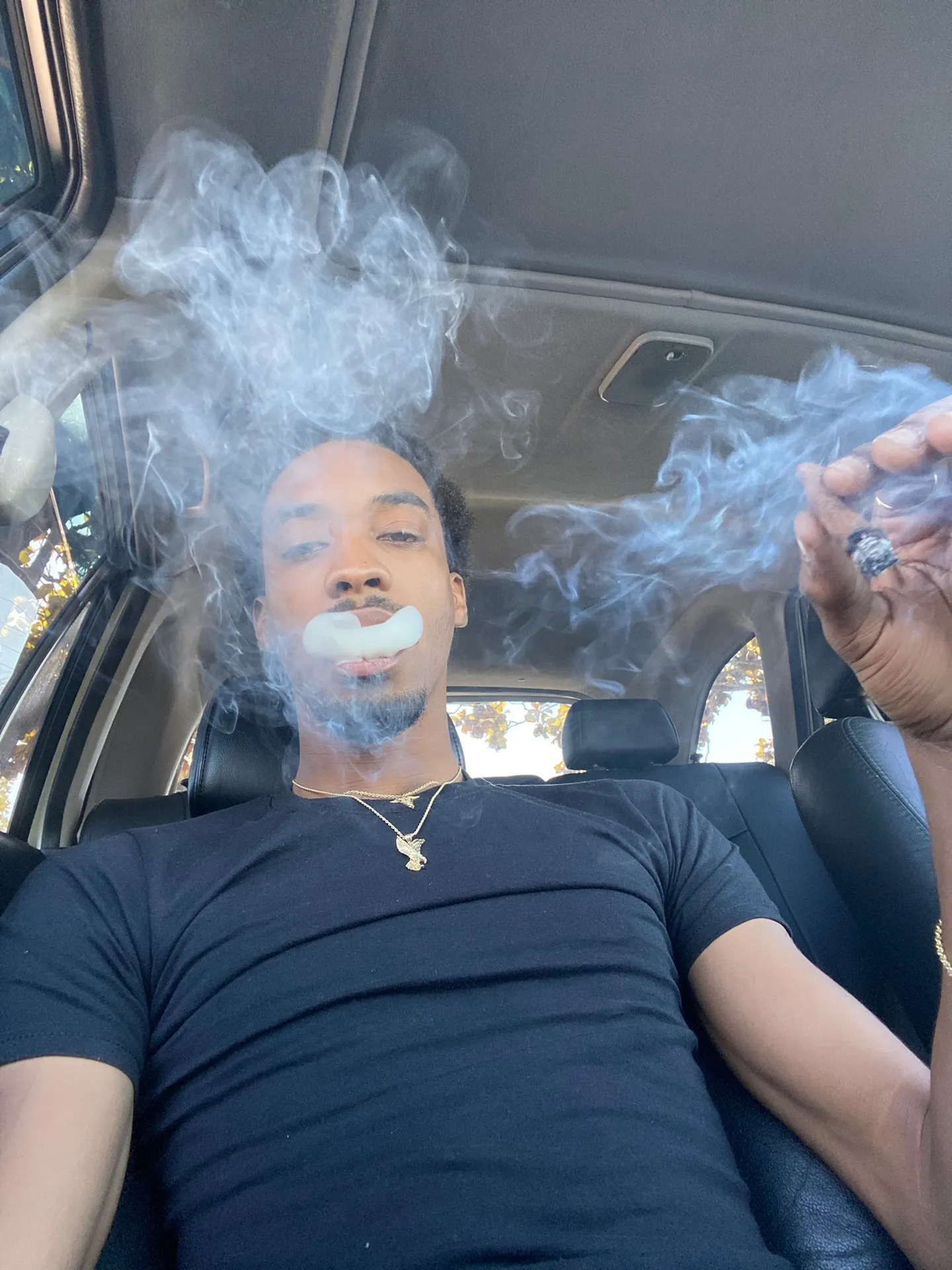 𝕋𝕣𝕖𝟛𝕄𝕦𝕔𝕙