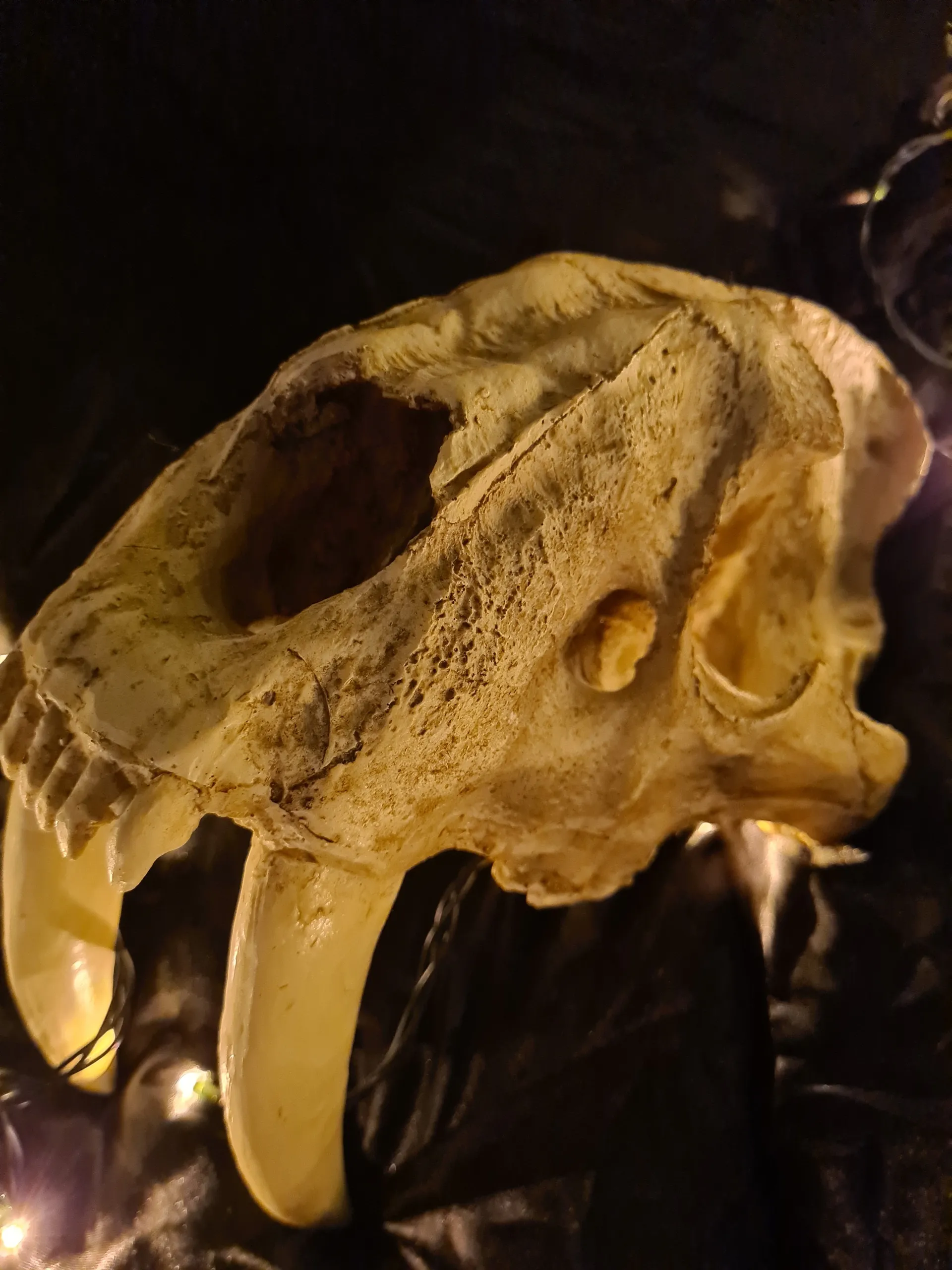 blvckrose OnlyFans header